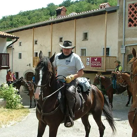Toncevi Eco Estate Affittacamere Branik