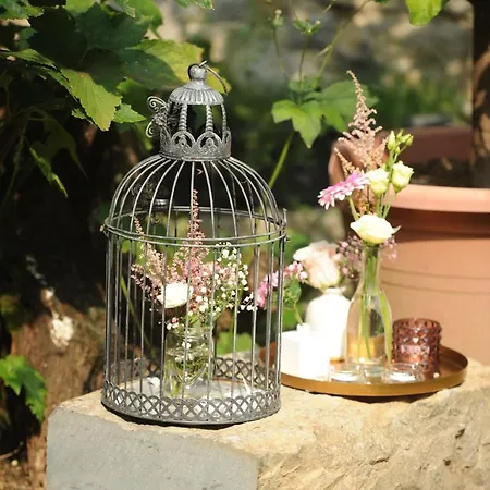 Toncevi Eco Estate Gasthuis