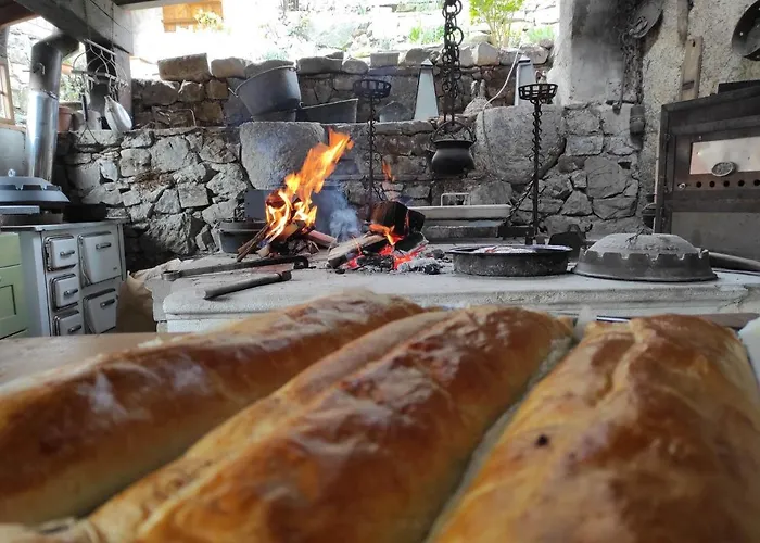 Toncevi Eco Estate Konukevi Branik