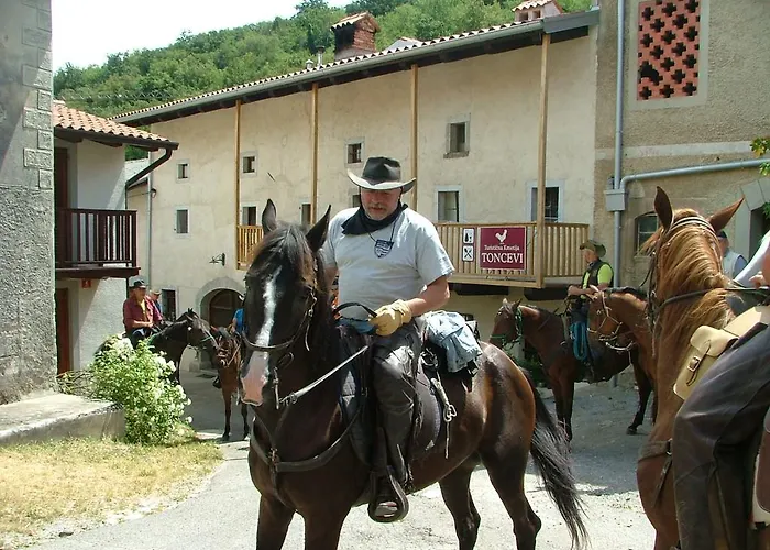 Toncevi Eco Estate Konukevi Branik